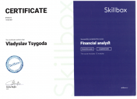 Прохождение курса Skillbox "Финансовый аналитик" - англ. версия